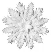 Ceiling Rosette - UR013